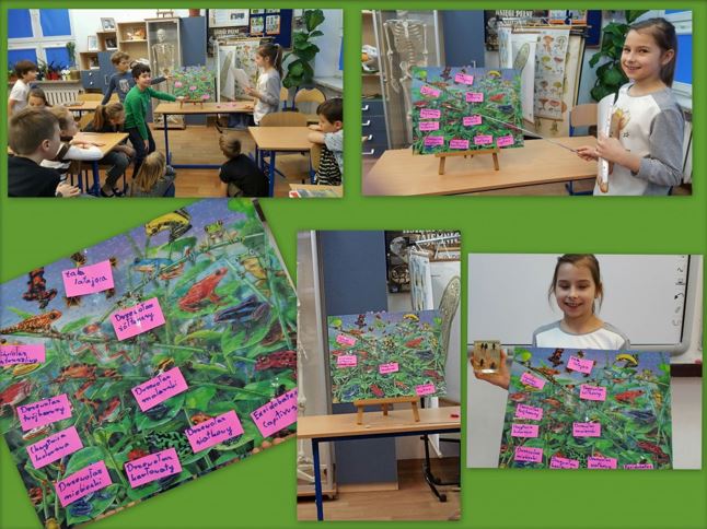 Uczniowskie Forum Naukowe - kolaż zdjęć przedstwiający uczennicę referującą wiadomosci o żabach oraz prezentację żab.