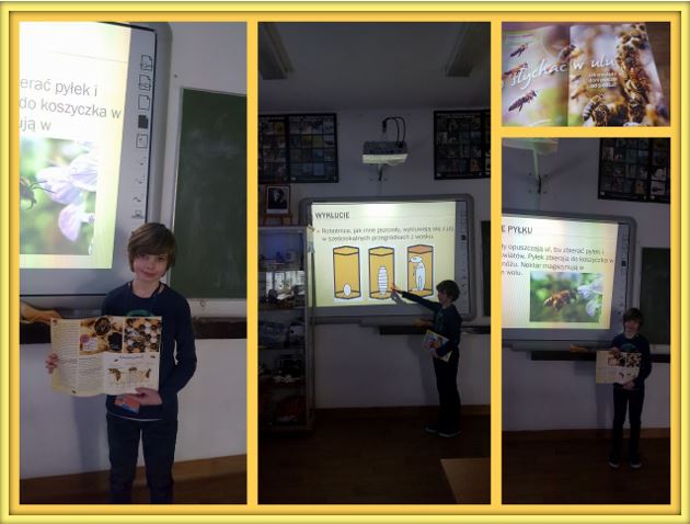 Uczniowskie Forum Naukowe - kolaz zdjęć przedstawiający ucznia na tle tablicy multimedialnej opowiadającego o życiu pszczół.