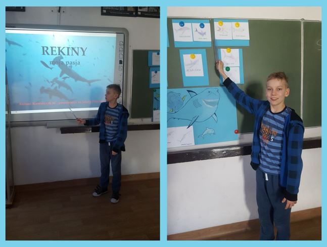 Uczniowskie Forum Naukowe - kolaz zdjęć przedstawiający ucznia na tle tablicy multimedialnej oraz tablicy szkolnej, na której znajduje się prezentacja na temat rekinów.